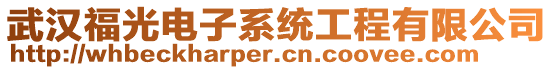 武漢福光電子系統(tǒng)工程有限公司