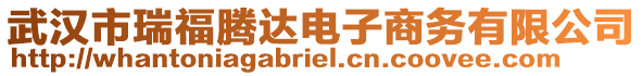 武漢市瑞福騰達電子商務有限公司