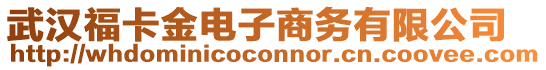 武漢福卡金電子商務有限公司