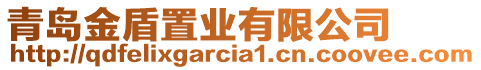 青島金盾置業(yè)有限公司