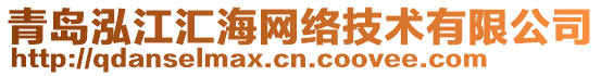 青島泓江匯海網(wǎng)絡(luò)技術(shù)有限公司