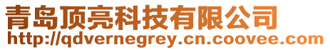 青島頂亮科技有限公司