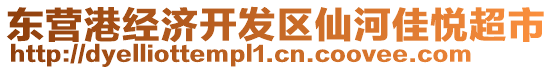 東營港經(jīng)濟開發(fā)區(qū)仙河佳悅超市