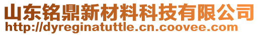 山東銘鼎新材料科技有限公司