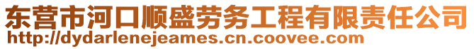 東營市河口順盛勞務工程有限責任公司