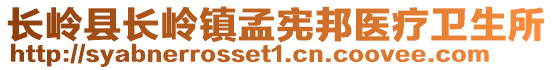 长岭县长岭镇孟宪邦医疗卫生所