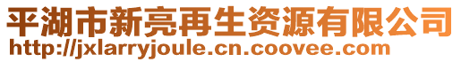 平湖市新亮再生資源有限公司