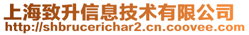 上海致升信息技術有限公司
