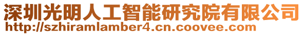 深圳光明人工智能研究院有限公司