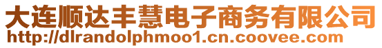 大連順達(dá)豐慧電子商務(wù)有限公司