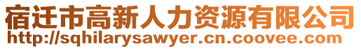 宿遷市高新人力資源有限公司