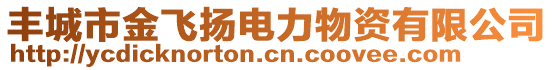 豐城市金飛揚電力物資有限公司