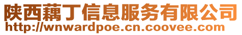 陜西藕丁信息服務有限公司