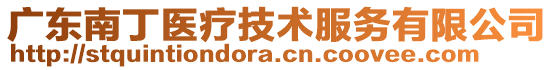 廣東南丁醫療技術服務有限公司