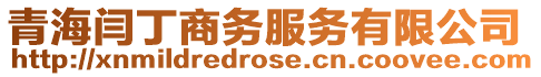 青海閆丁商務服務有限公司