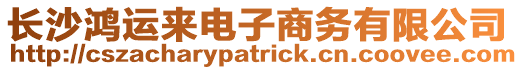 長沙鴻運來電子商務(wù)有限公司