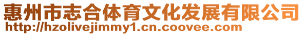 惠州市志合體育文化發展有限公司