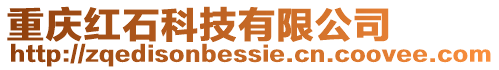 重慶紅石科技有限公司