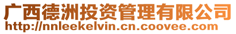 廣西德洲投資管理有限公司