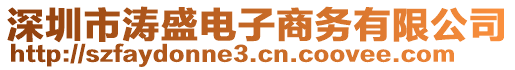 深圳市濤盛電子商務有限公司