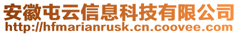 安徽屯云信息科技有限公司