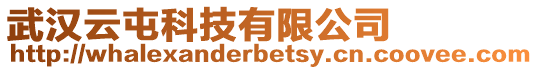 武漢云屯科技有限公司