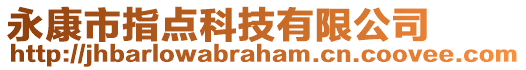 永康市指點(diǎn)科技有限公司