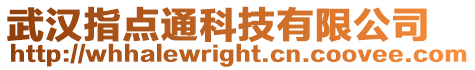 武漢指點(diǎn)通科技有限公司