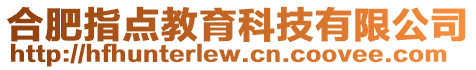 合肥指點教育科技有限公司