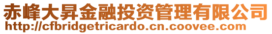 赤峰大昇金融投資管理有限公司