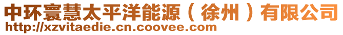 中環(huán)寰慧太平洋能源(徐州)有限公司