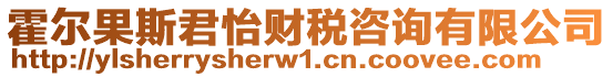 霍爾果斯君怡財稅咨詢有限公司