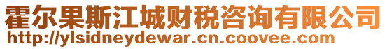 霍爾果斯江城財(cái)稅咨詢(xún)有限公司