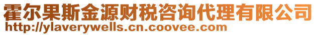 霍爾果斯金源財(cái)稅咨詢代理有限公司