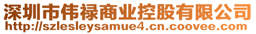 深圳市偉祿商業(yè)控股有限公司