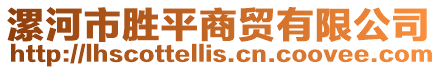 漯河市勝平商貿有限公司