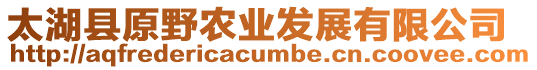 太湖縣原野農(nóng)業(yè)發(fā)展有限公司