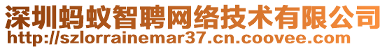 深圳螞蟻智聘網(wǎng)絡(luò)技術(shù)有限公司