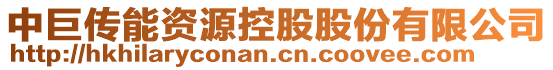 中巨傳能資源控股股份有限公司