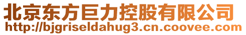 北京東方巨力控股有限公司