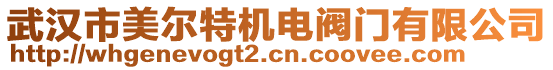 武漢市美爾特機(jī)電閥門有限公司