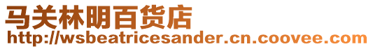 馬關(guān)林明百貨店