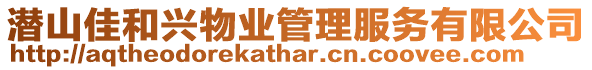 潛山佳和興物業(yè)管理服務(wù)有限公司