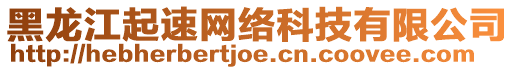 黑龍江起速網(wǎng)絡(luò)科技有限公司