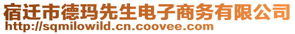 宿遷市德瑪先生電子商務(wù)有限公司