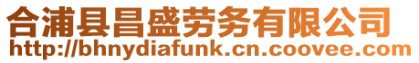 合浦縣昌盛勞務有限公司