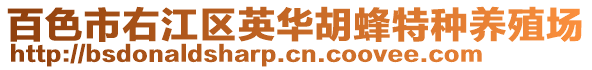 百色市右江區(qū)英華胡蜂特種養(yǎng)殖場(chǎng)