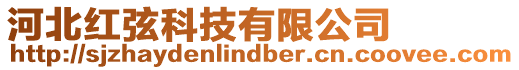 河北紅弦科技有限公司