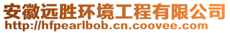 安徽遠(yuǎn)勝環(huán)境工程有限公司