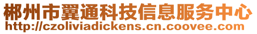 郴州市翼通科技信息服務中心